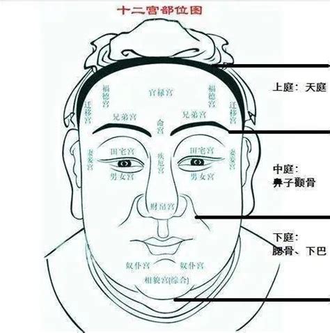 富貴面相男|男人的十種富貴面相，面相學